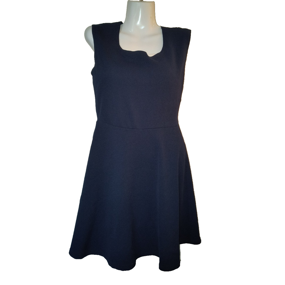 Trendy Land Navy Blue Sleeveless Fit & Flare Dress Size L W004